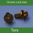 Zierstopfen / Zierschrauben TORX Aluminium 10 St. Gold...