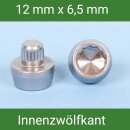 Zierstopfen / Zierschraube Innenzwölfkant 10 St....
