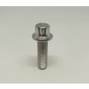 10 x Felgenschrauben M7 x 24 mm Edelstahl  BBS Rial Schmidt O.Z.