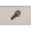 10 x Felgenschrauben M7 x 24 mm Edelstahl  BBS Rial Schmidt O.Z.