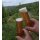06.09.25  um 15.00 Uhr Sauerländer Bierwanderung