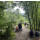 06.09.25  um 15.00 Uhr Sauerländer Bierwanderung