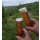 15.05.27  um 15.00 Uhr Sauerländer Bierwanderung
