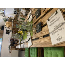 13.03.27 um 17.00 Uhr Bier & Käse Tasting